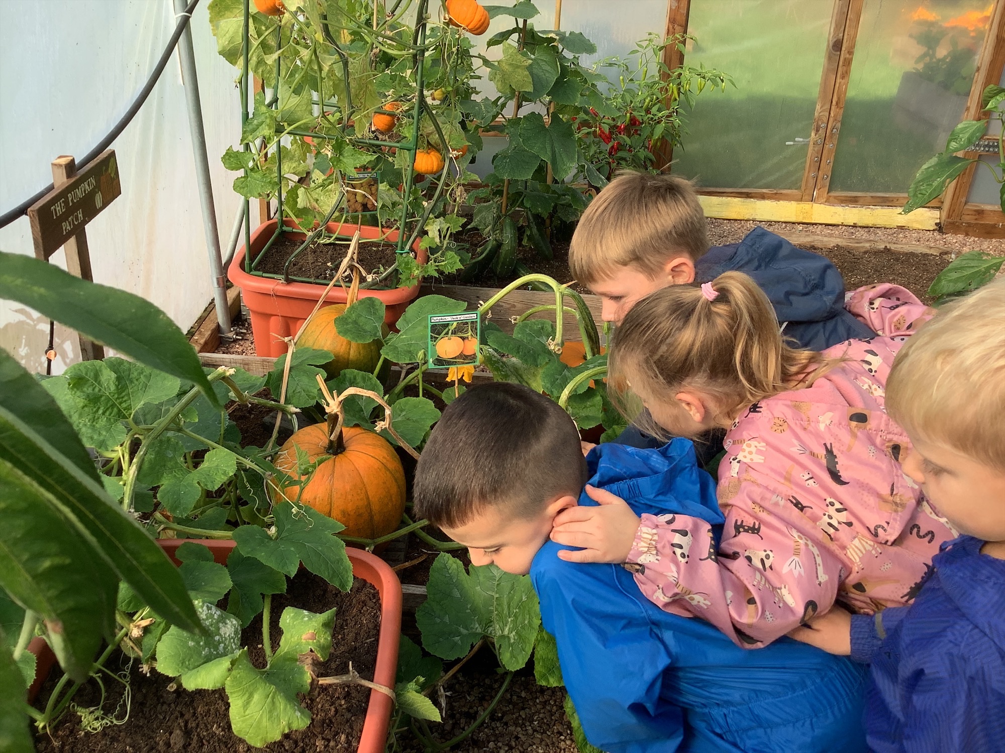 Image of Exploring the School Garden with Year 1 Gardening Gang! 