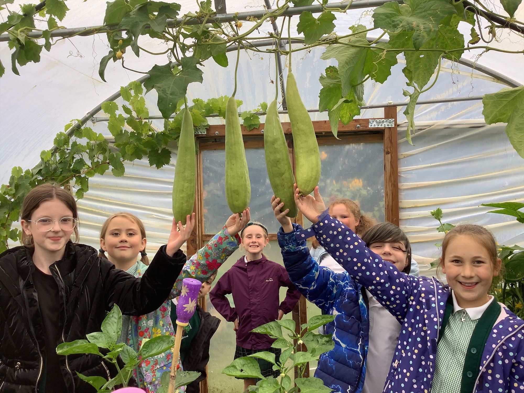 Image of Harvests, Discoveries and a New School Year in the Garden