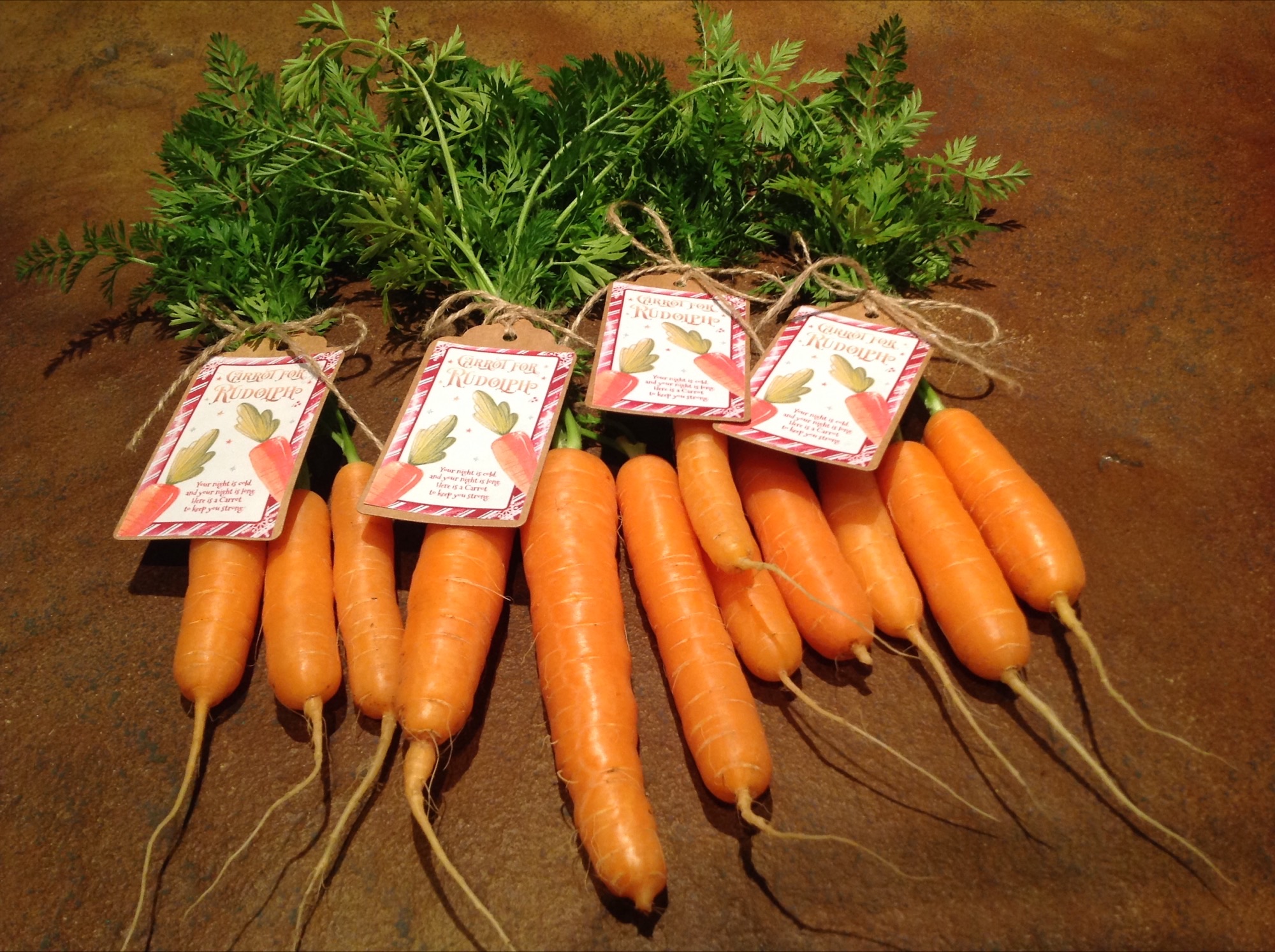 Image of Reception Class & Gardening Club: Carrot Mission Complete!