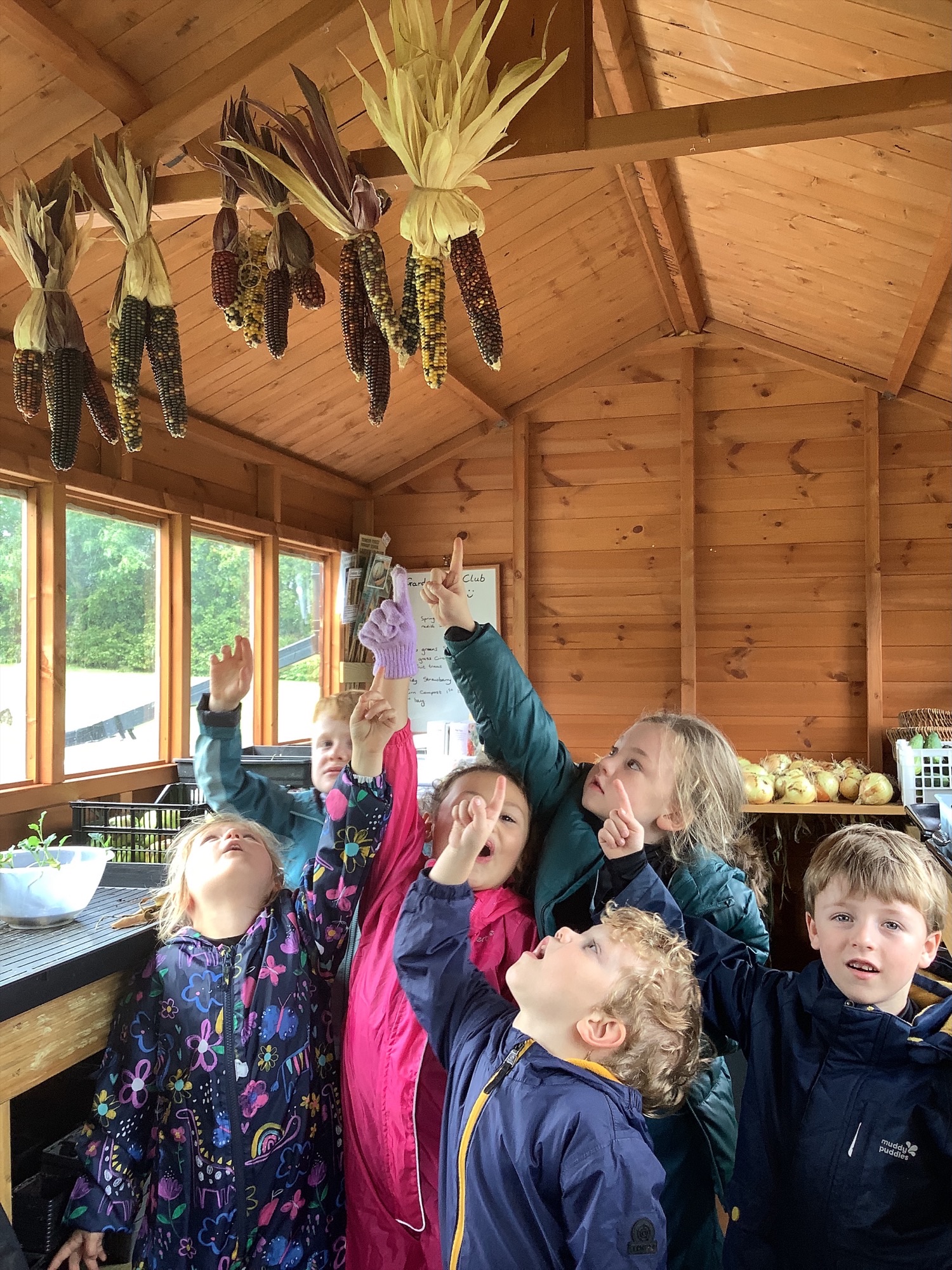 Image of Busy Garden Explorers!