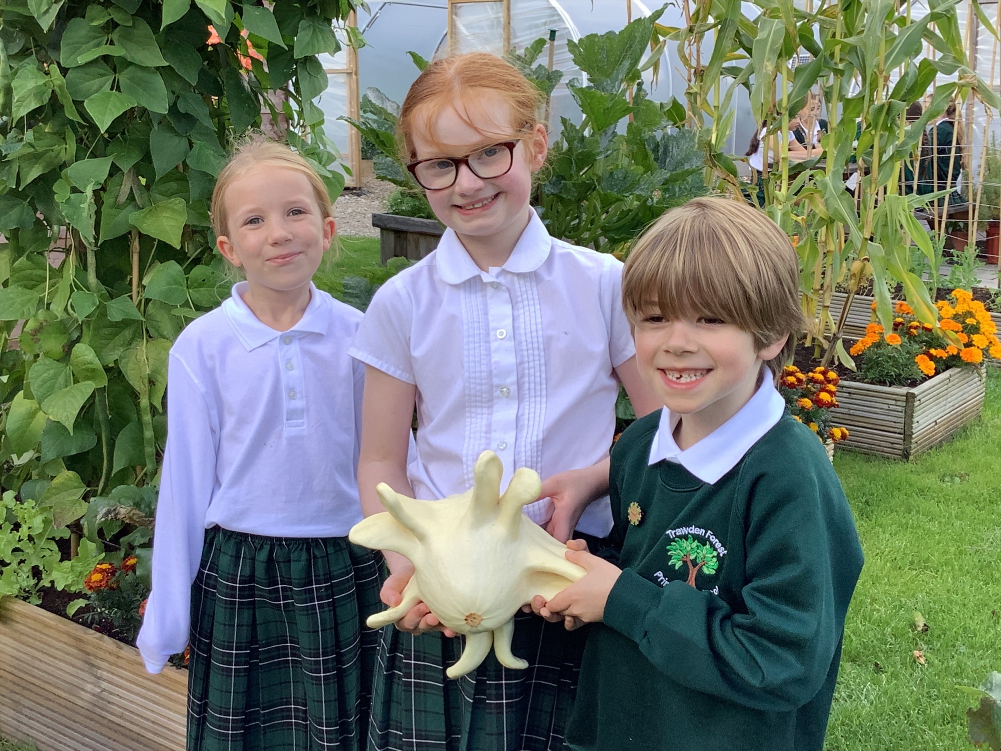 Image of Weird, Wonderful and School Grown!