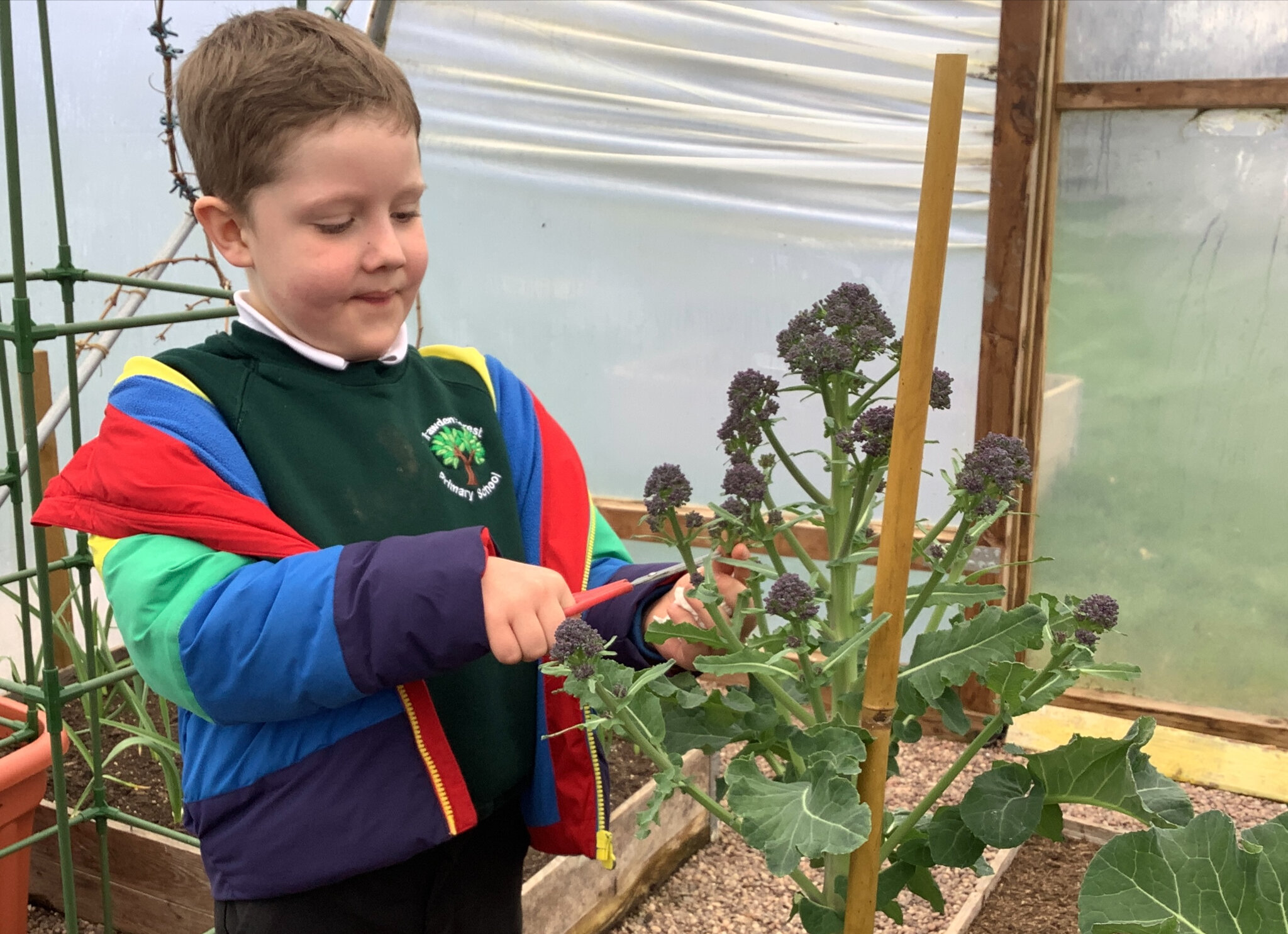 Image of Garden Gang in Action!