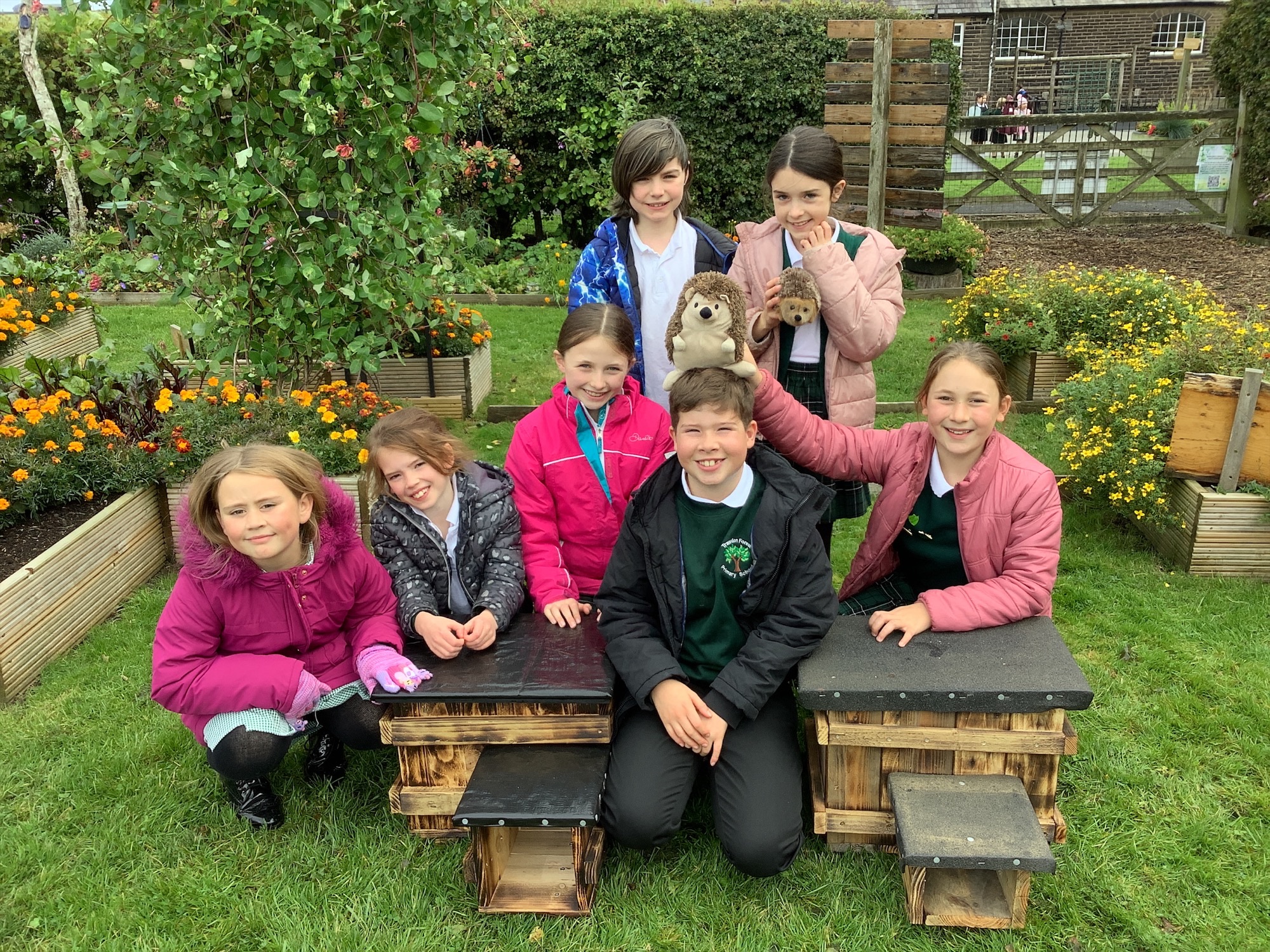 Image of Hedgehogs, Welcome to Your New Homes!