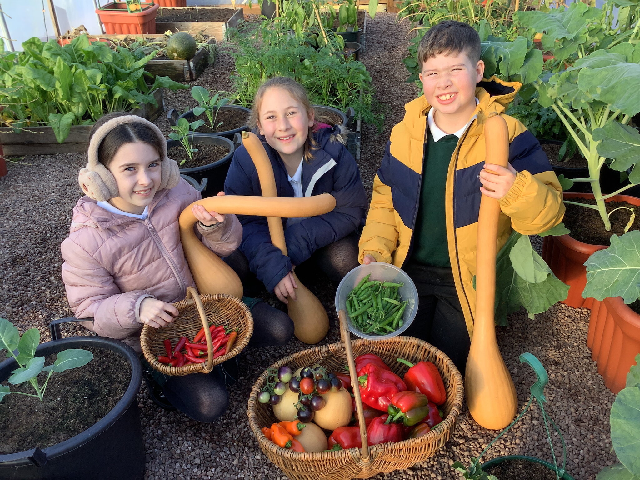 Image of Still Growing Strong in November!