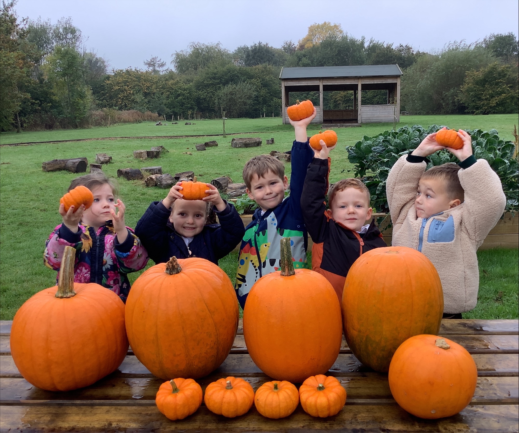 Image of Pumpkin Harvest Time for our Reception Class Garden Gang