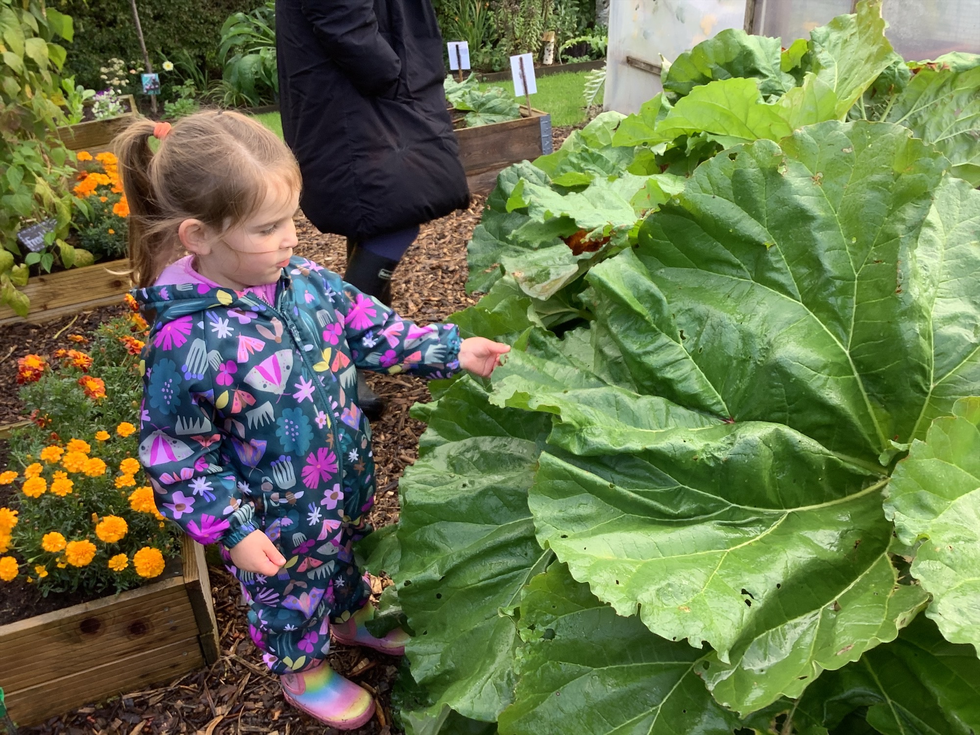 Image of Growing and Exploring: Forest School and Garden Stay and Play