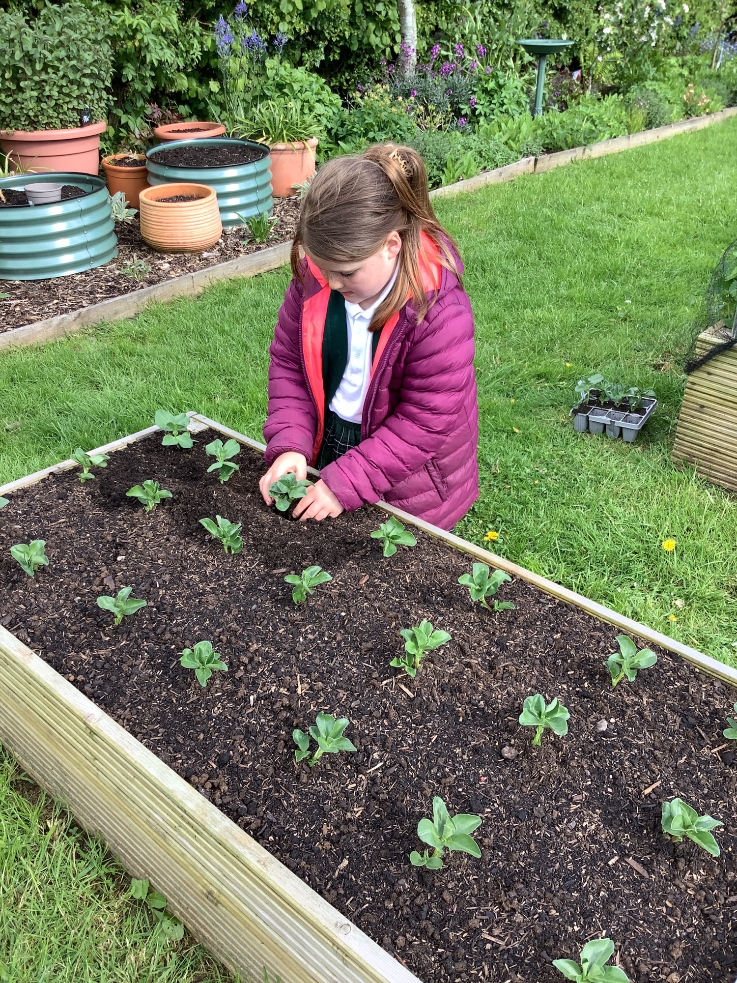 Image of Growing and Learning Outdoors