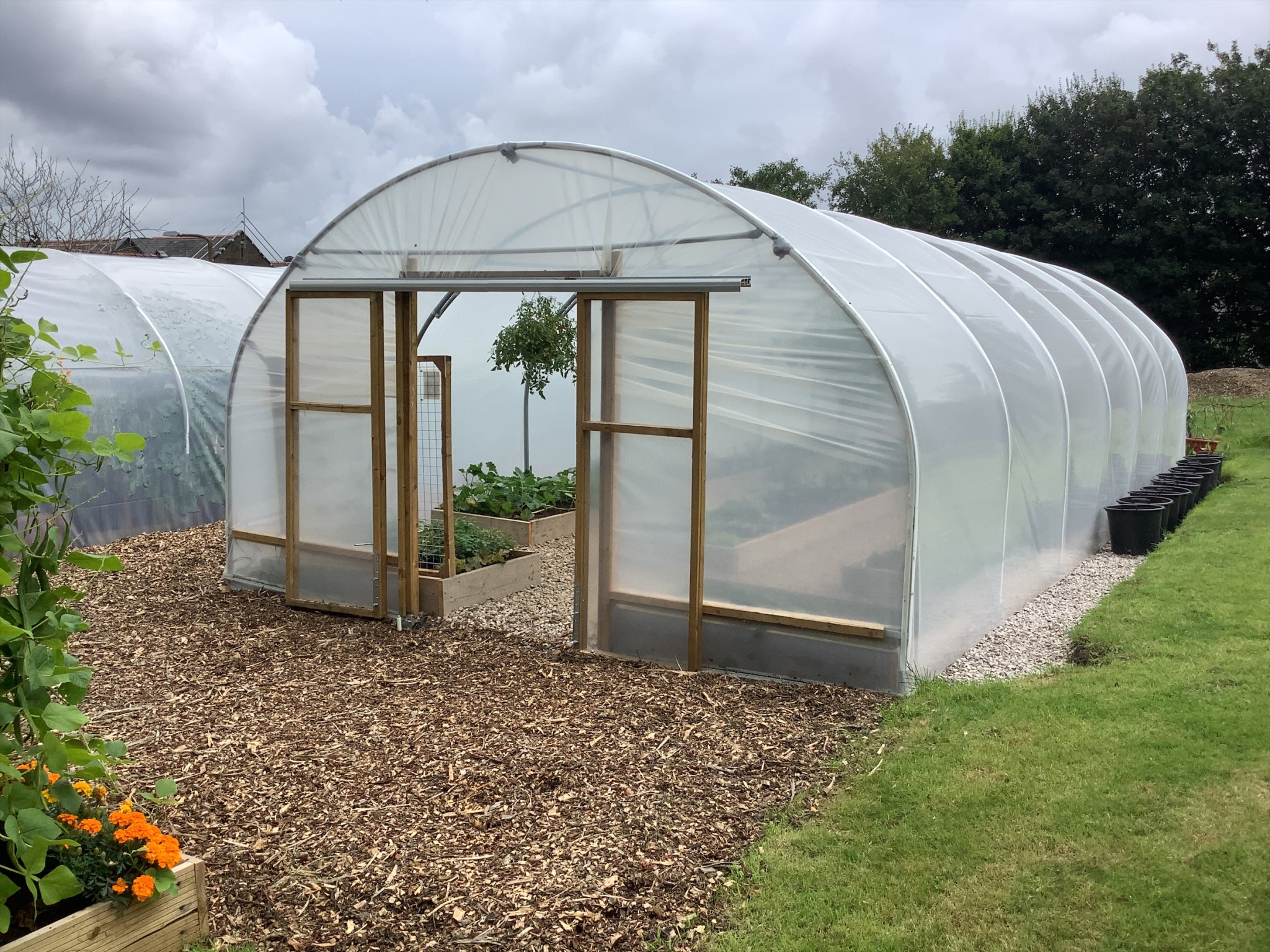 Image of Our new polytunnel is ready for growing