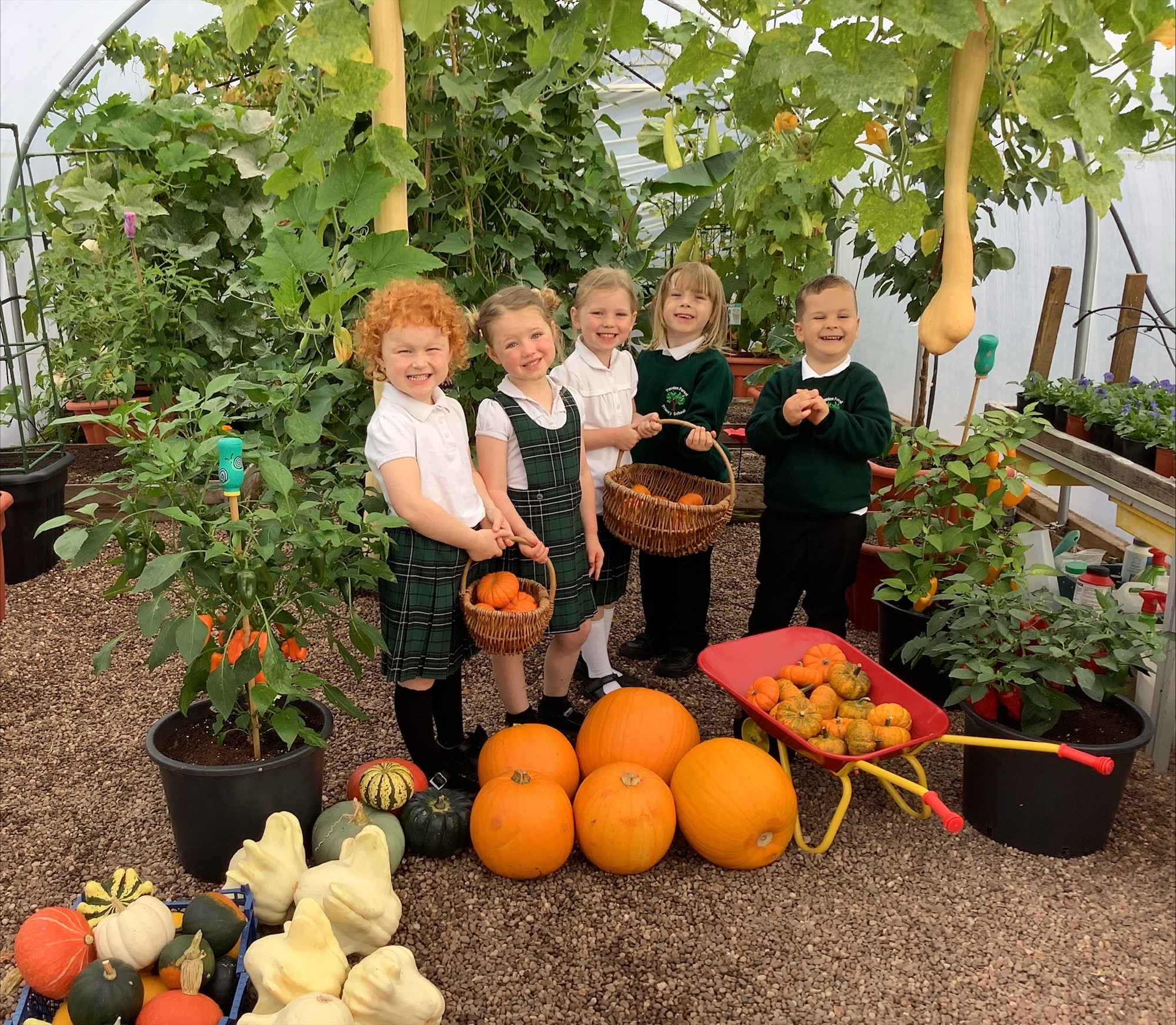 Image of Pumpkin Harvest Time for our Reception Garden Gang