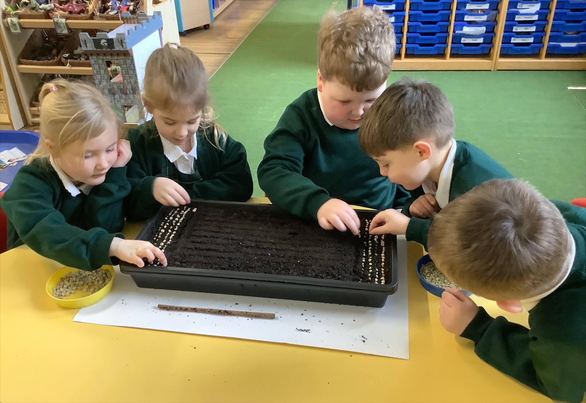 Image of Gourmet Growing in Reception Class!