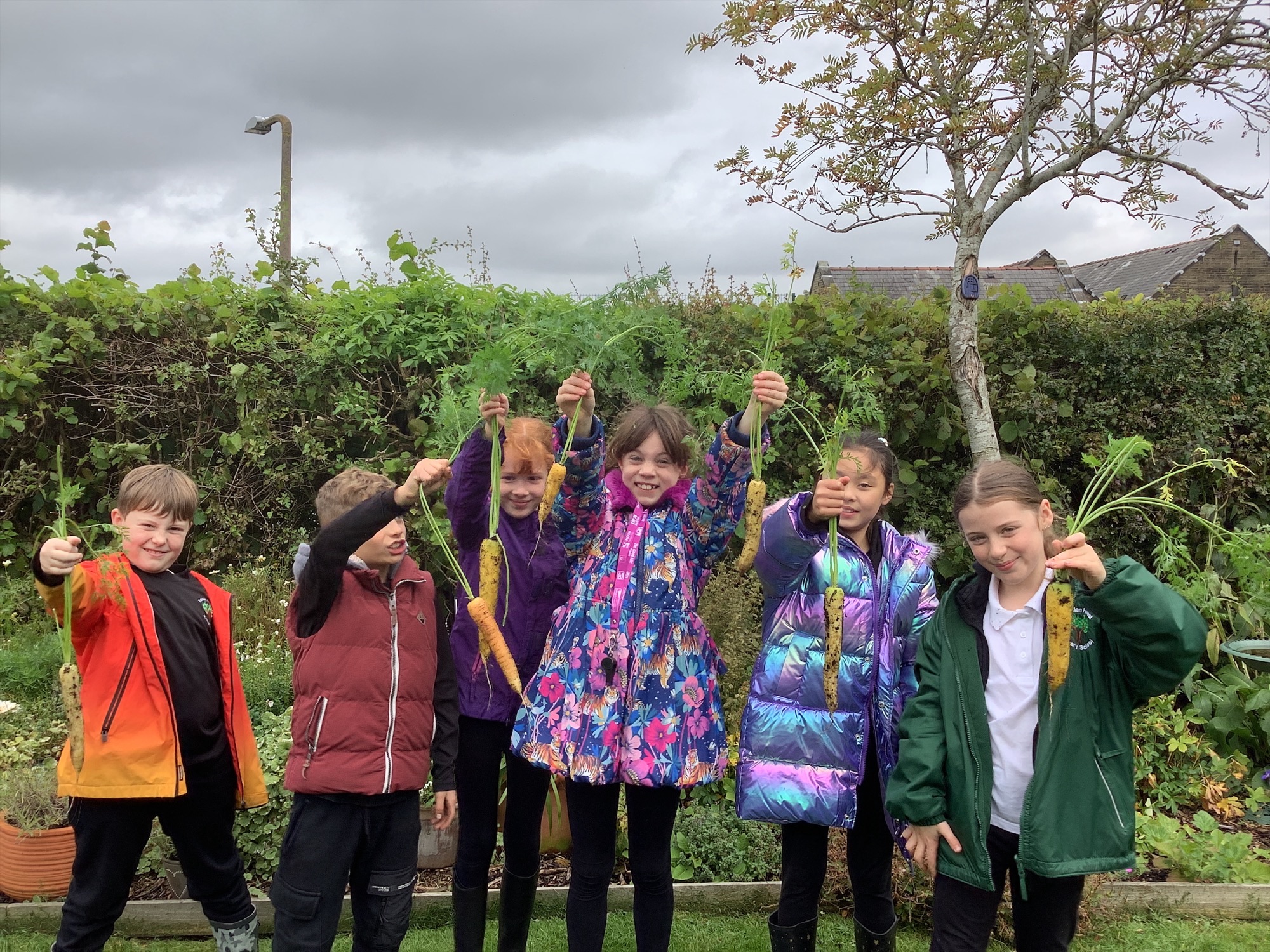 Image of From Plot to Pot with Year 5!