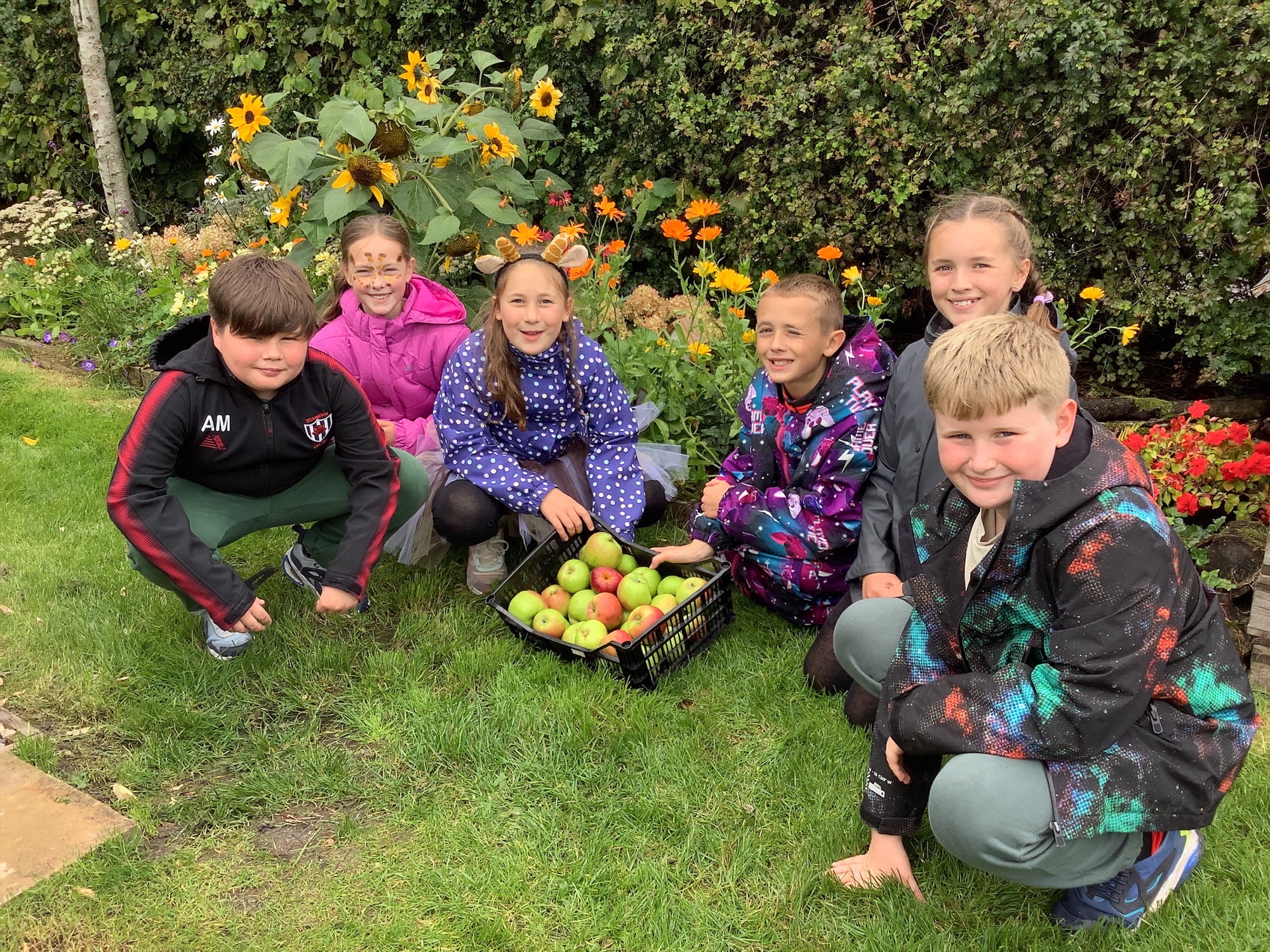 Image of Apple Harvest Time!  