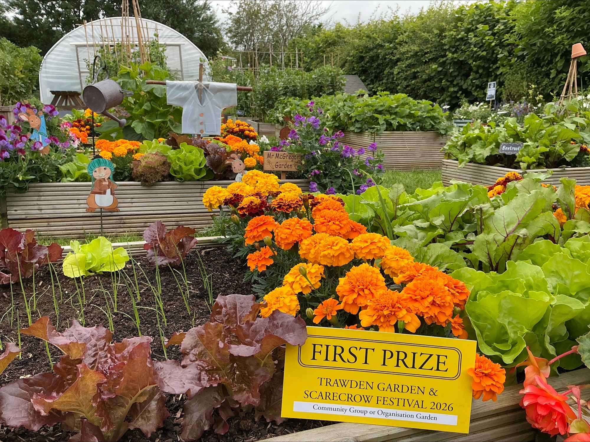Image of What an incredible weekend it’s been in our school garden!