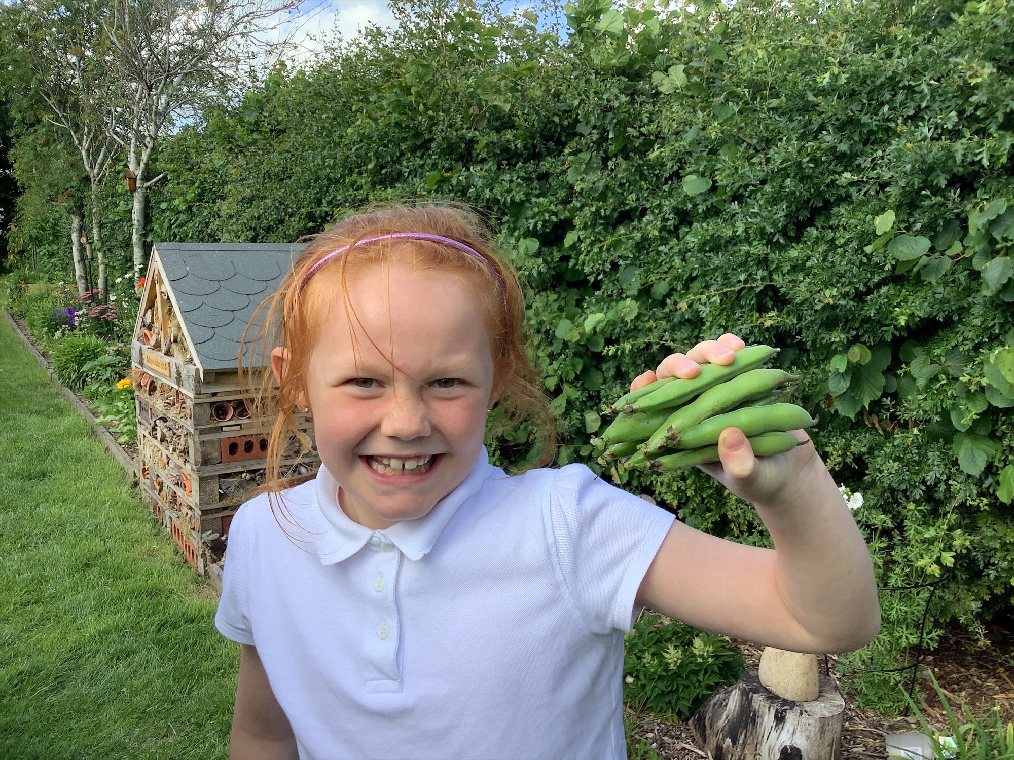 Image of National Bean Day