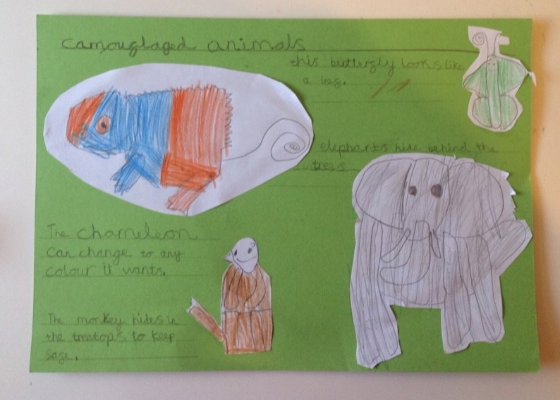 Image of Year 1 - More super Seesaw learning