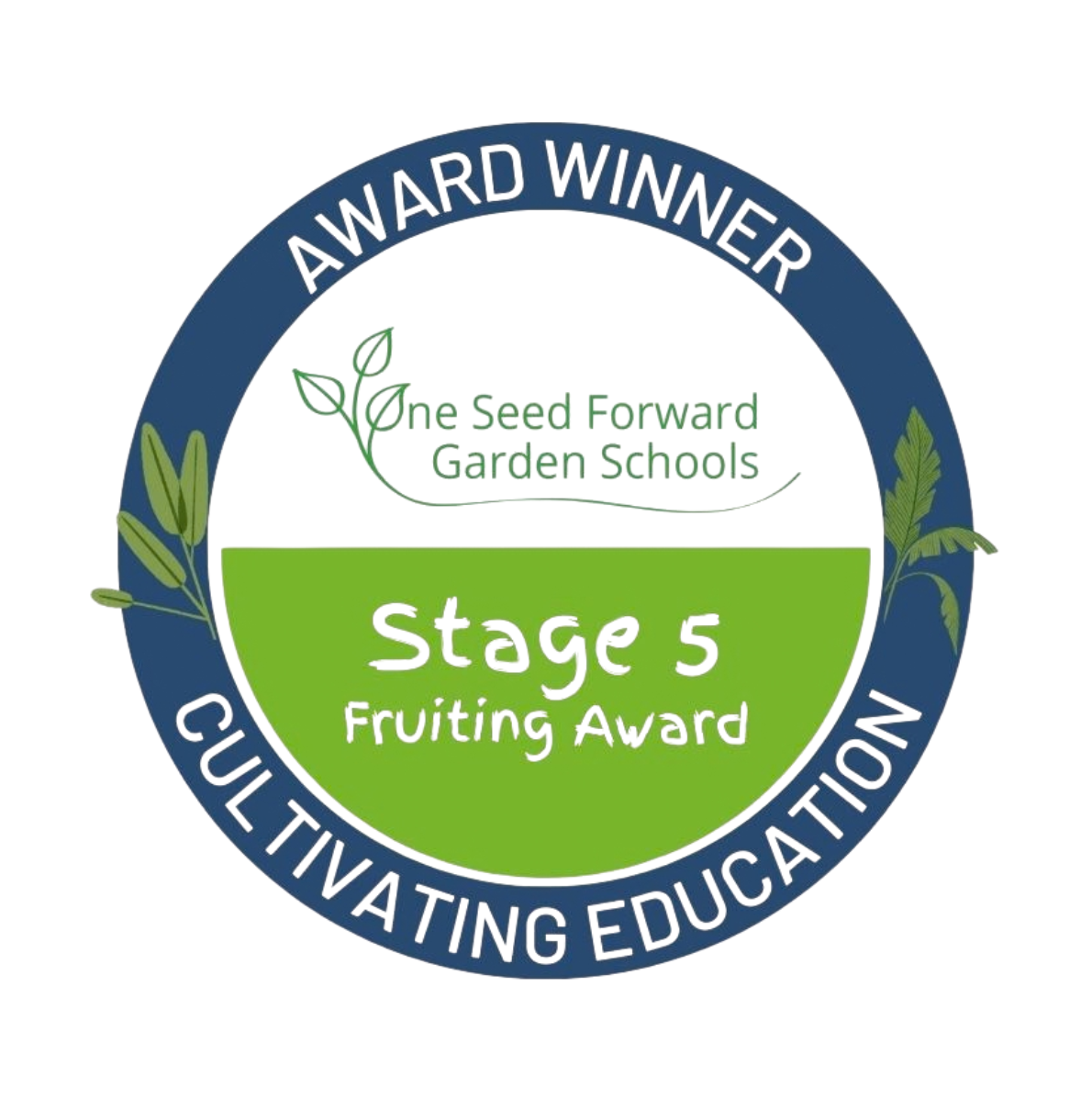 One Seed Forward - Stage 5