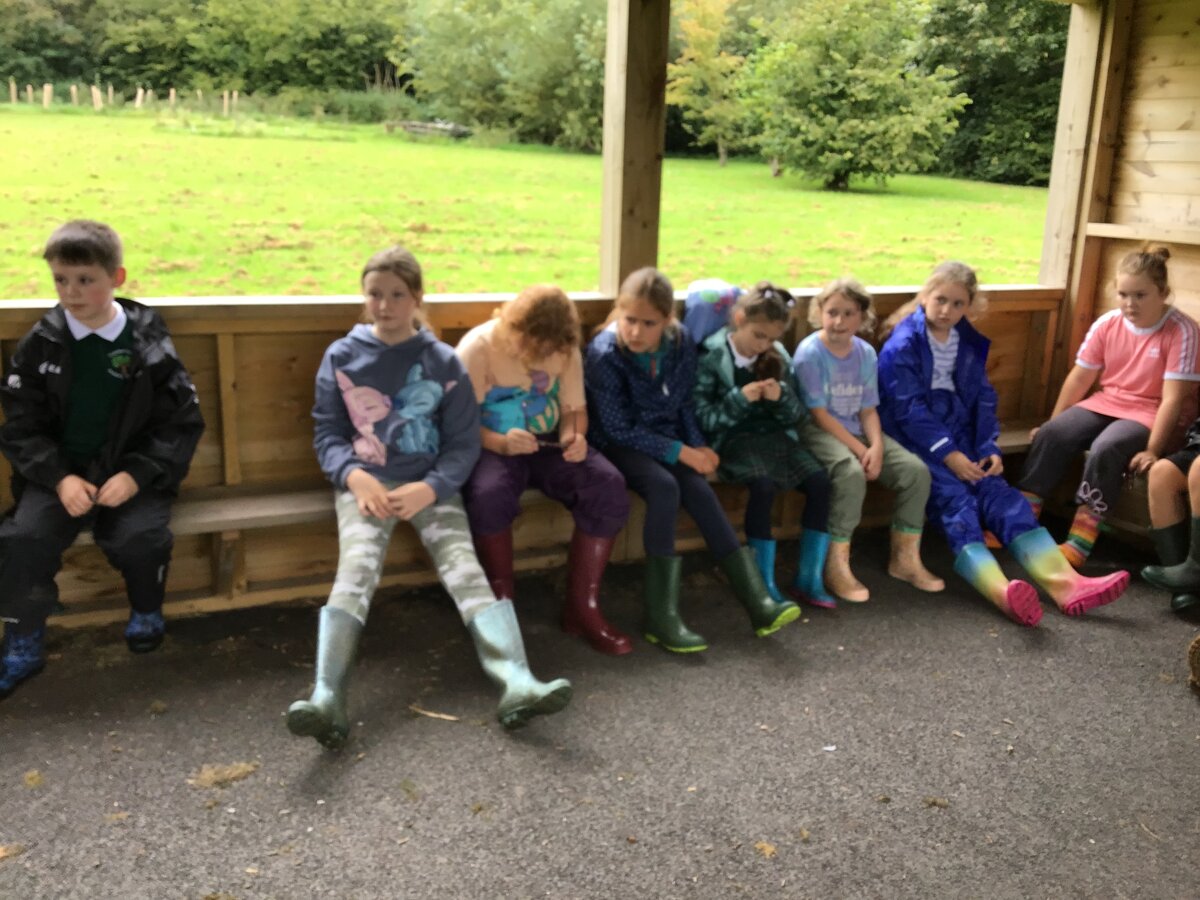 Year Five First Forest School Session | Trawden Forest Primary School