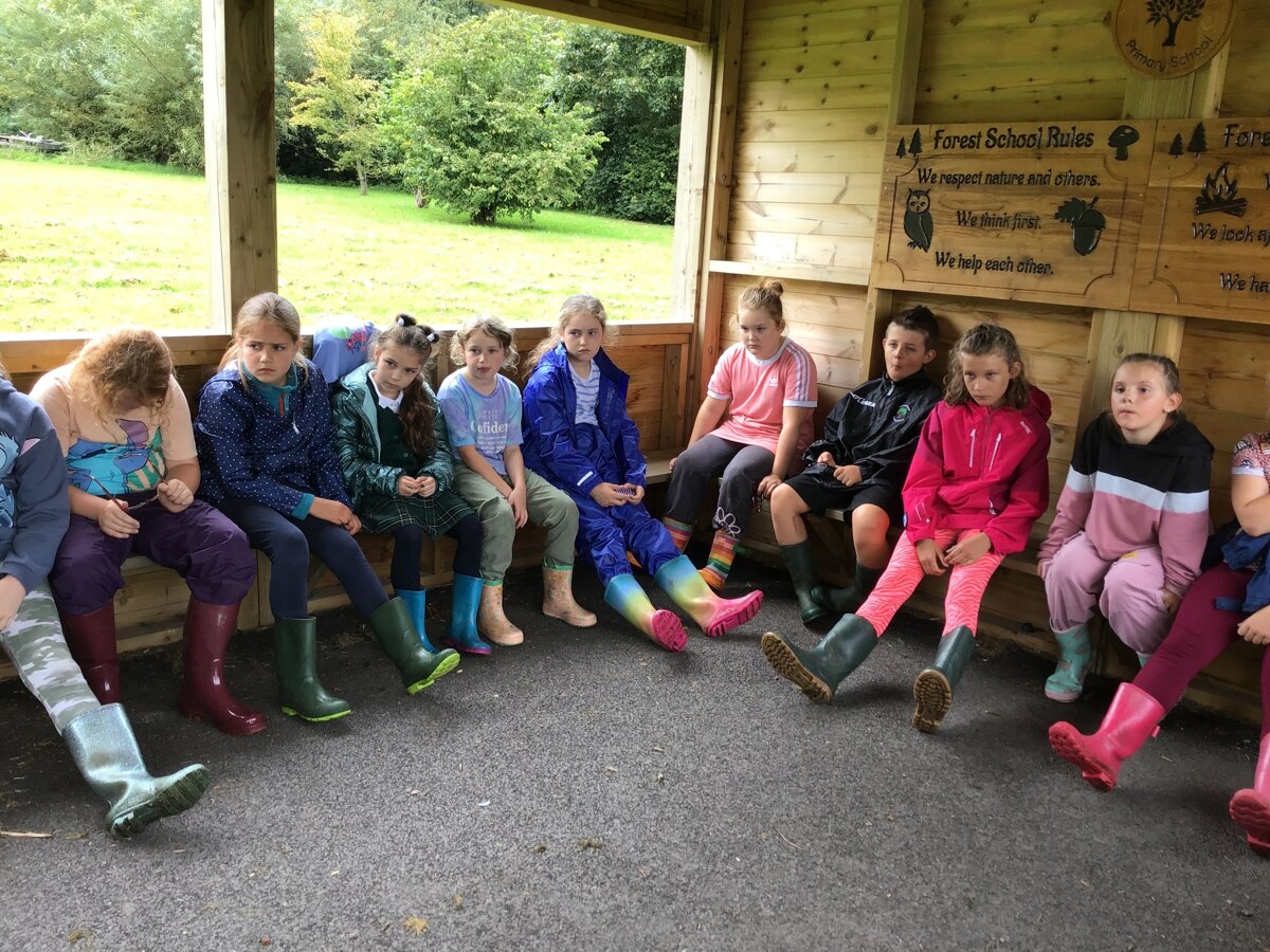 Year Five First Forest School Session | Trawden Forest Primary School