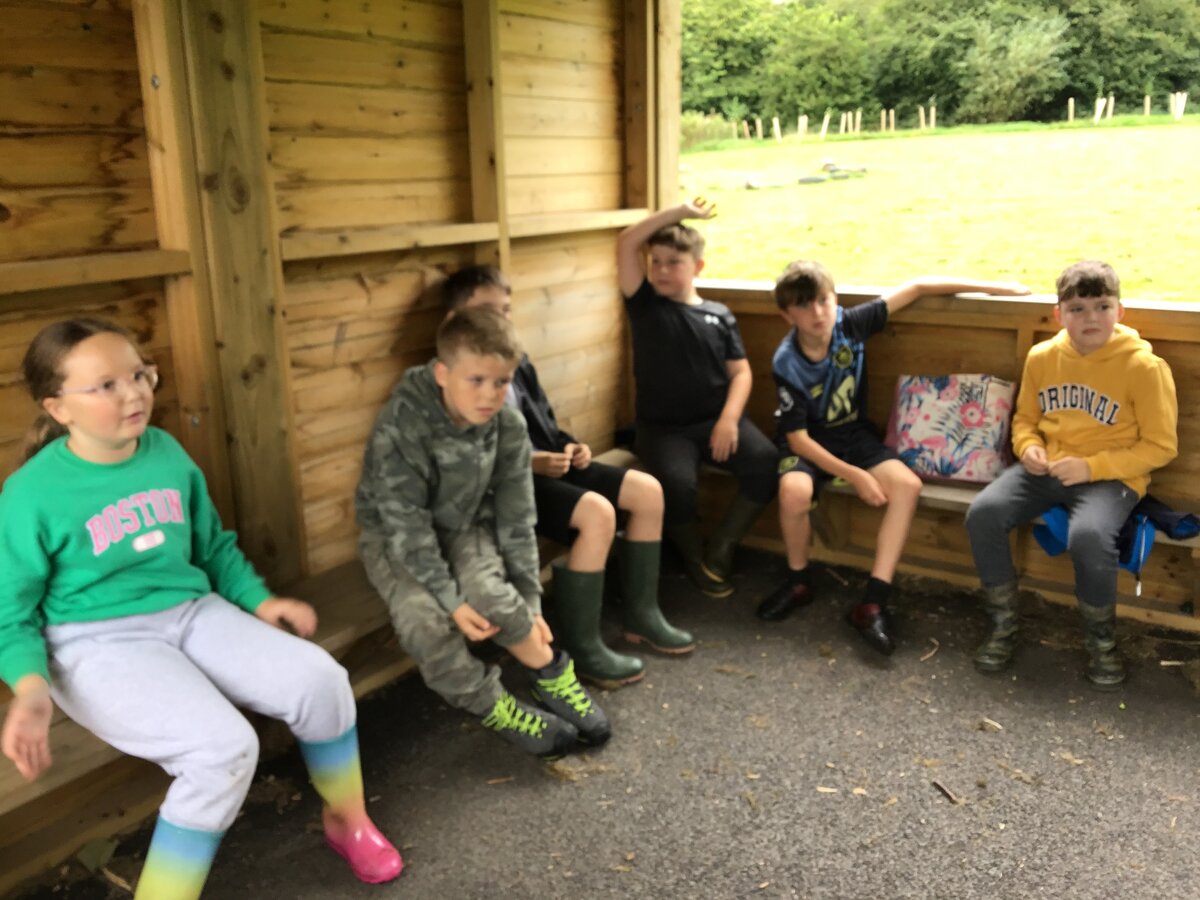 Year Five First Forest School Session | Trawden Forest Primary School