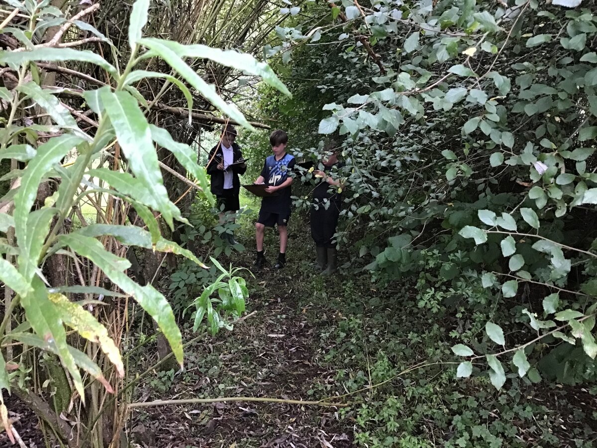 Year Five First Forest School Session | Trawden Forest Primary School