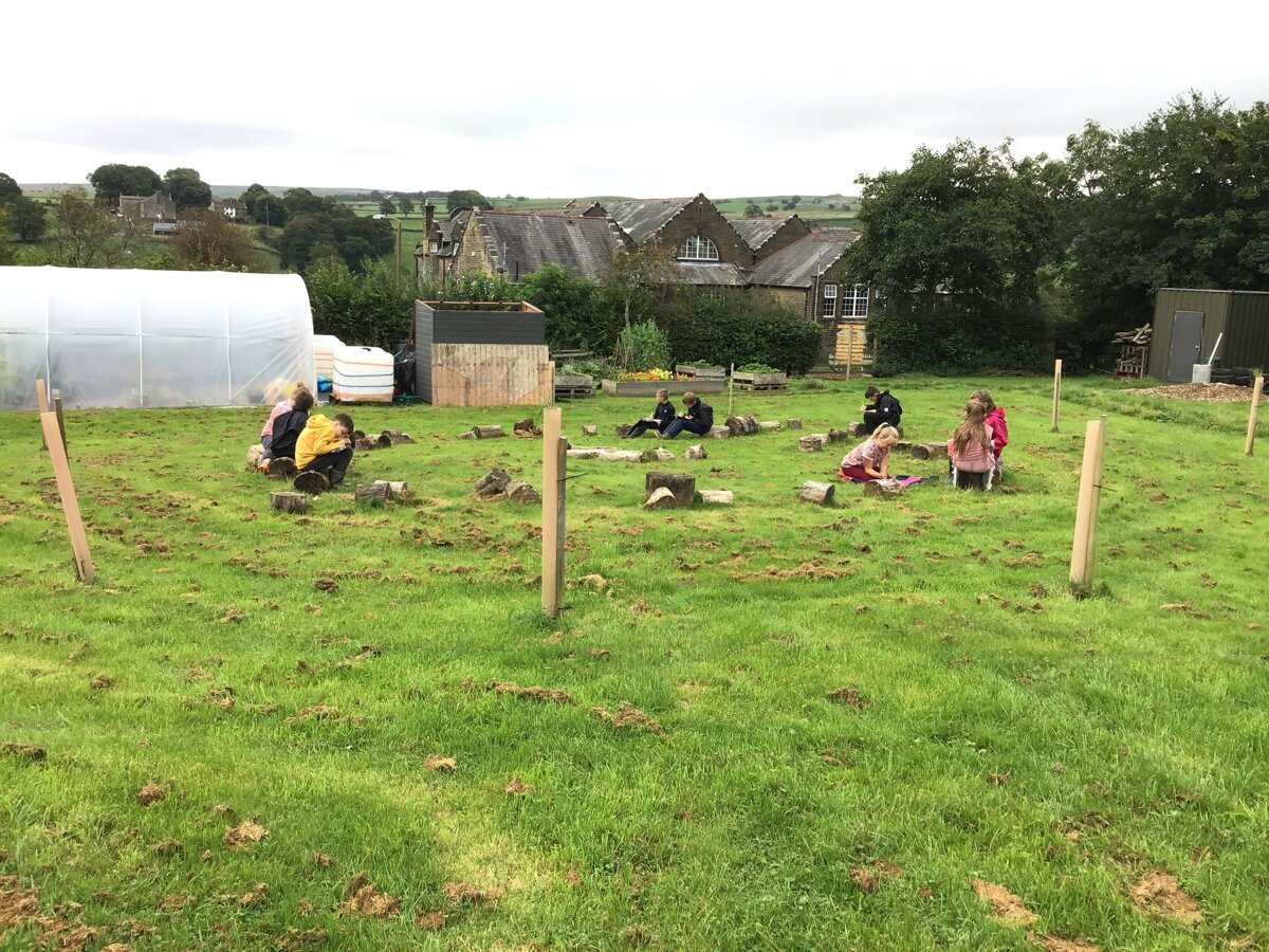 Year Five First Forest School Session | Trawden Forest Primary School