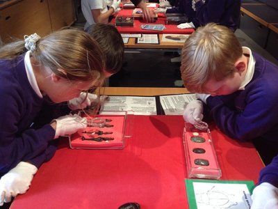 Image of Year 5 - Liverpool Museum