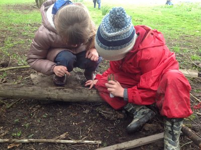 Image of Animals at Forest School