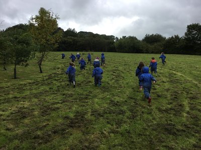 Image of First Forest school