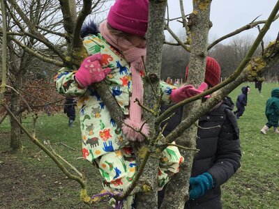 Image of EYFS Y1 Forest School