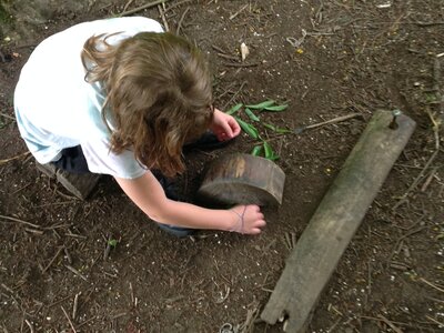 Image of Investigating Invertebrates or Hunting for Animals