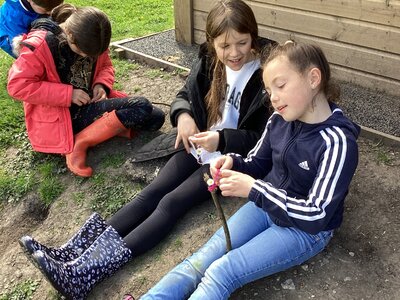 Image of Knots and String Year 3 and 4 Forest School