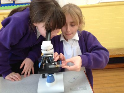 Image of KS2 Science Fair 2020