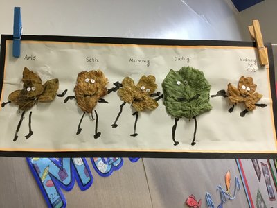 Image of Leaf Families