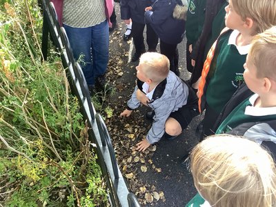 Image of Trawden Seasonal Walk