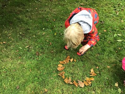 Image of Y1 Forest School - Autumn Art