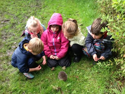 Image of Y1 Forest School