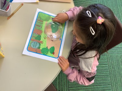 Image of Year 1 Learning