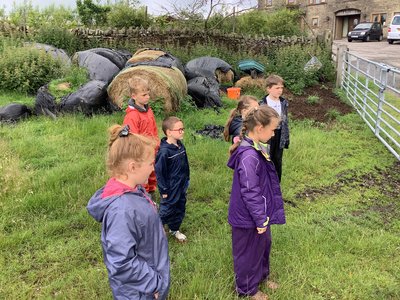 Image of Year 2 - Harwes Farm - Day Two