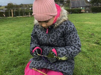 Image of Year 3 and 2 Forest School Mobiles