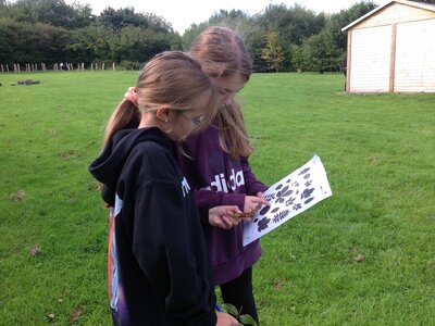 Image of Year 6 Forest School