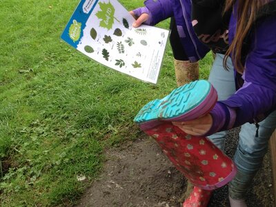 Image of Yr 6 and 3 Forest School