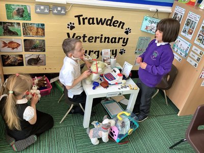 Image of Year 1 Veterinary Surgery now open!