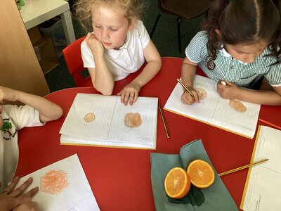 Image of Finding Seeds