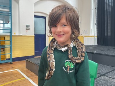 Image of Creepy Crawly Roadshow Assembly