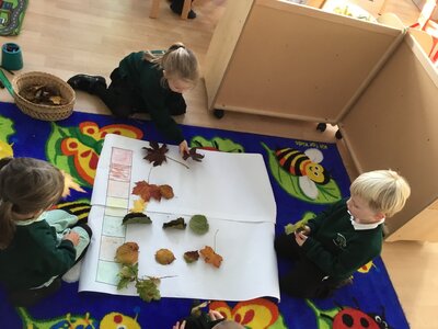 Image of Lots of wonderful learning in EYFS!