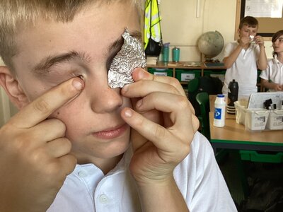 Image of Discovering the Wonders of Science in Year 5!