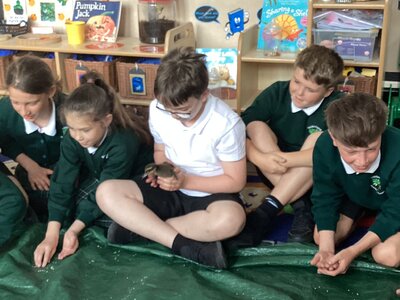 Image of Year 6 and the Ducklings
