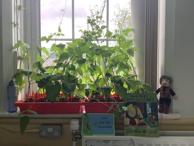 Image of Keep on Growing