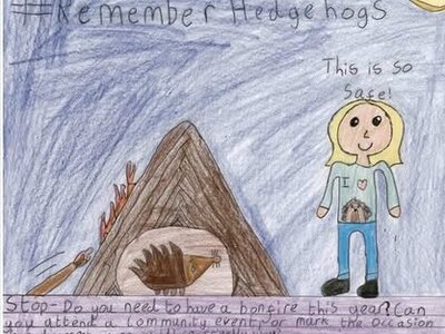Image of British Hedgehog Preservation Society WINNER!