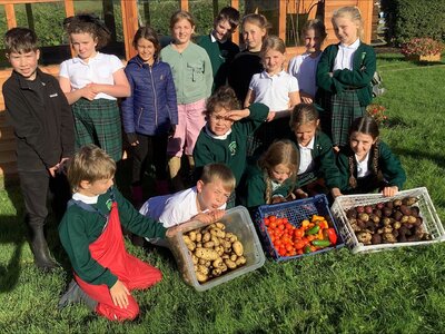 Image of The School Gardening Club are thrilled to share an exciting update!